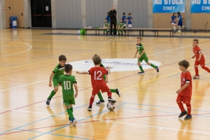 _MG_2460-Avec accentuation-Bruit.jpg